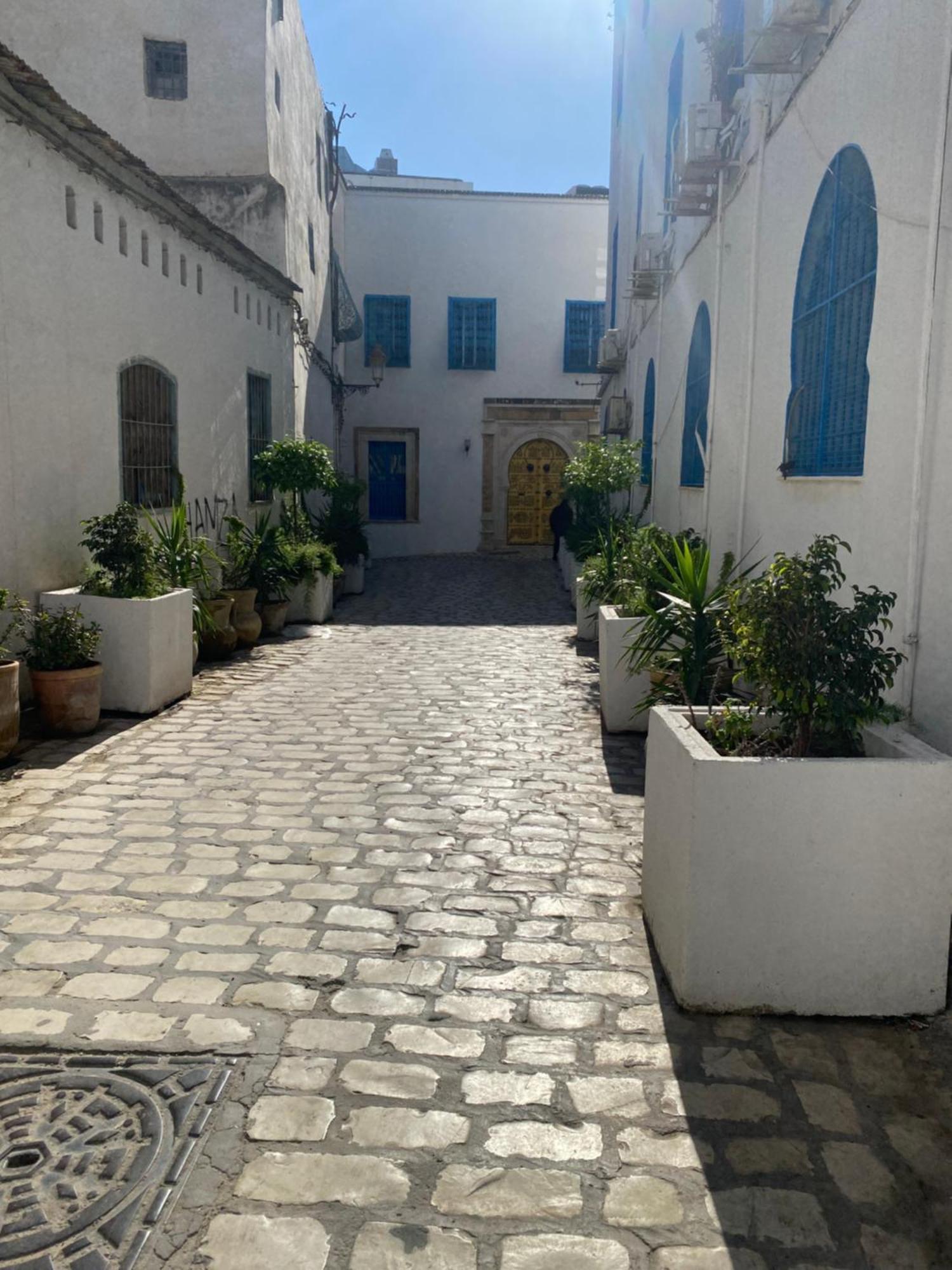 Traditional Medina House - Entire Home * Tunis